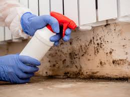 Reliable Poulsbo, WA Mold Inspection Solutions